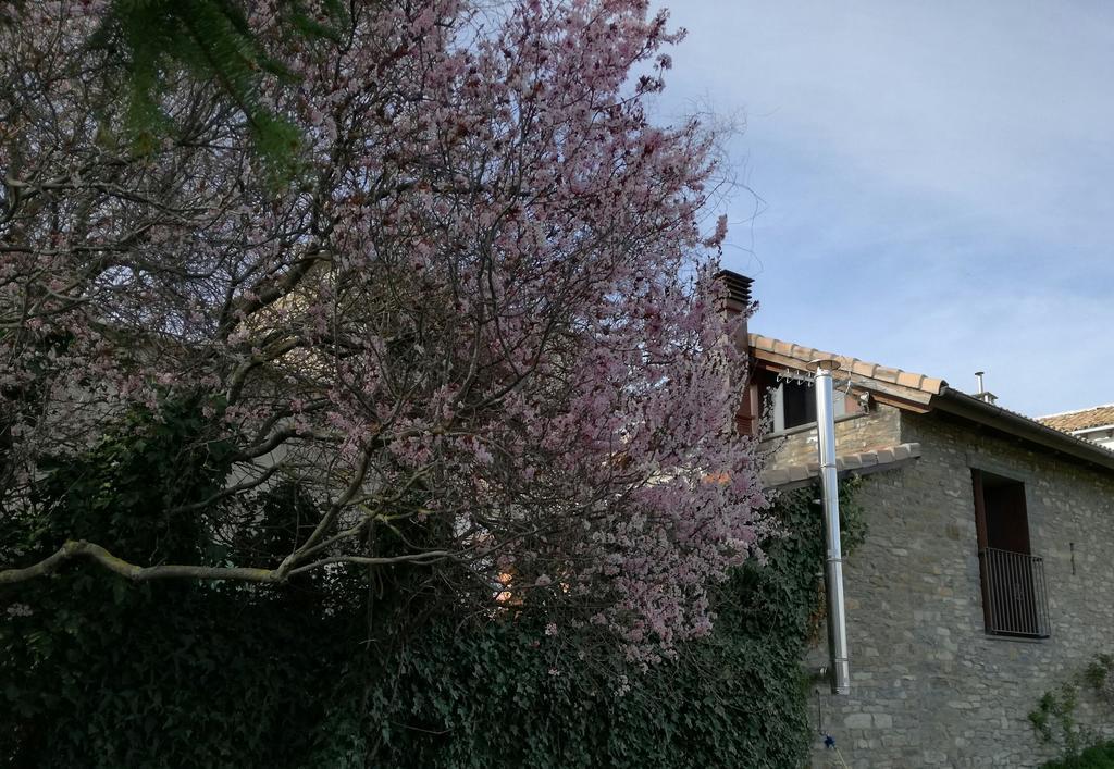 O Zierzo Villa Jaca Exterior photo